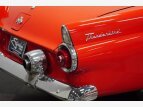 Thumbnail Photo 64 for 1955 Ford Thunderbird